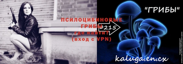 амф Алексин