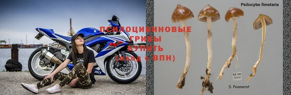 мет Семёнов