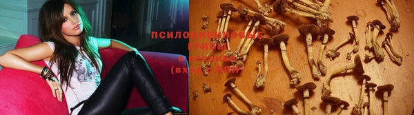 спиды Алексеевка