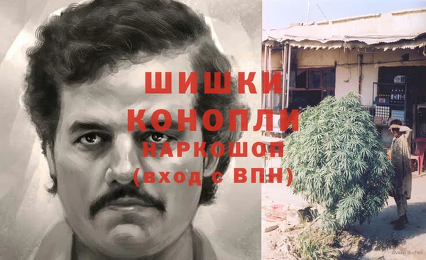 шишки Алзамай