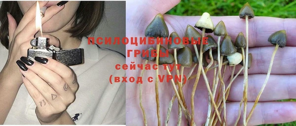 спиды Алексеевка